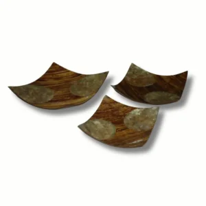 BENDED TRAY